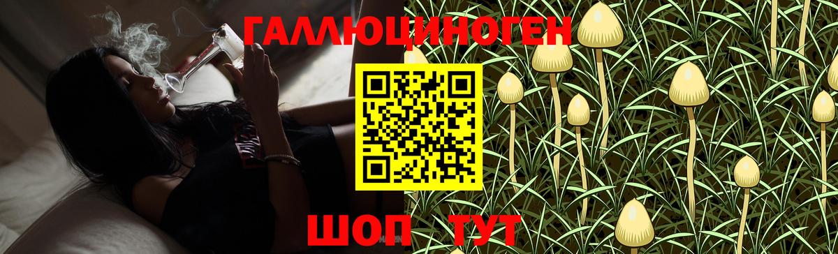 Псилоцибиновые грибы мухоморы  Псилоцибиновые грибы Magic Shrooms  даркнет сайт  Архангельск  Вход с VPN 